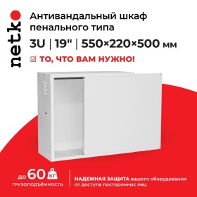 Антивандальный Шкаф 3U пенального типа, (Ш*Г*В 550*220*500мм)  19 направляющие,  передняя дверь металл, замок, серый Netko M
